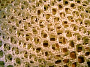 Hiqh Quality Net Nylon Yarn Material supplied by SageZander - yarn wholesale UK